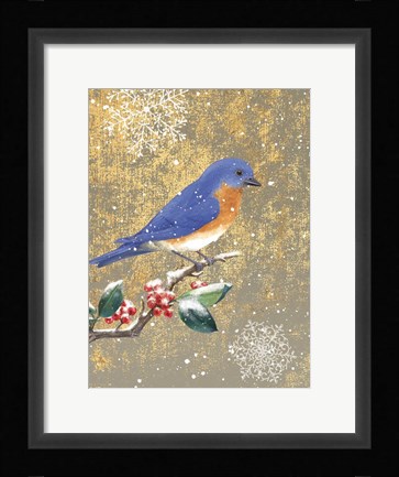 Framed Winter Birds Bluebird Color Print