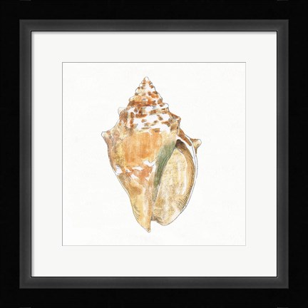 Framed Golden Treasures V on White Print