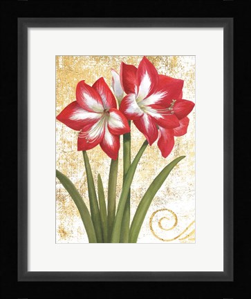 Framed Winter Birds Amaryllis I Gold and White Print