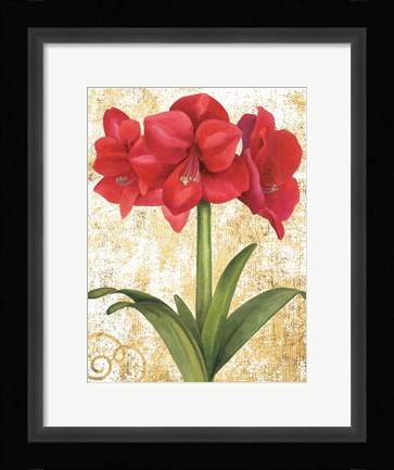 Framed Winter Birds Amaryllis II Gold and White Print