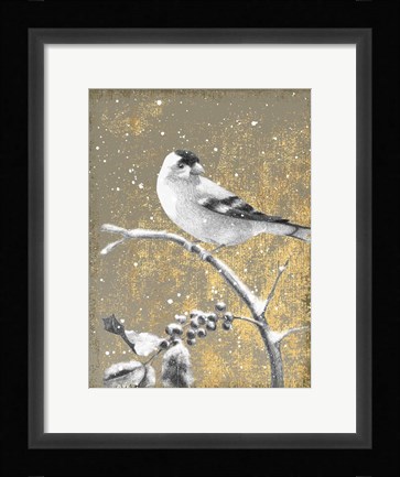 Framed Winter Birds Goldfinch Neutral Print