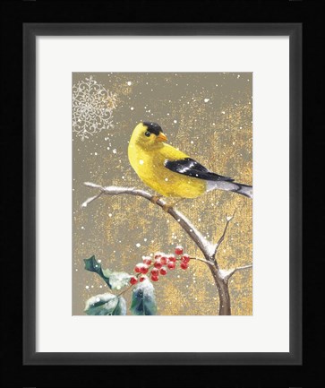 Framed Winter Birds Goldfinch Color Print