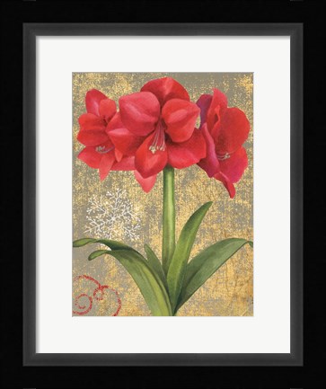 Framed Winter Birds Amaryllis II Print