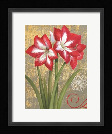 Framed Winter Birds Amaryllis I Print