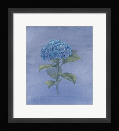 Framed Blue Hydrangea IV Print