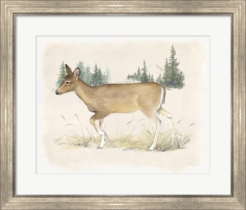 Framed Wilderness Collection Deer Print