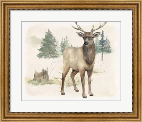 Framed Wilderness Collection Elk Print