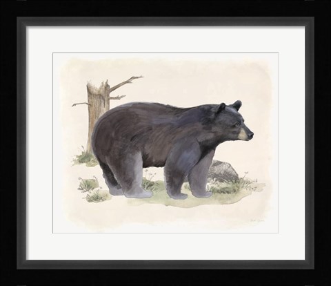 Framed Wilderness Collection Bear Print