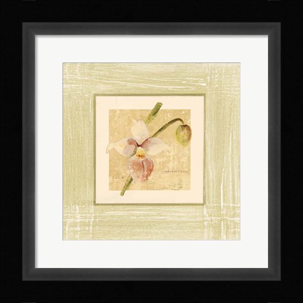 Framed Exotic Floral IV Print