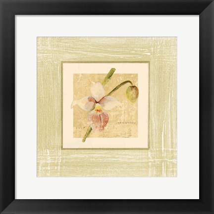 Framed Exotic Floral IV Print