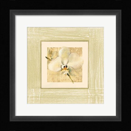 Framed Exotic Floral III Print