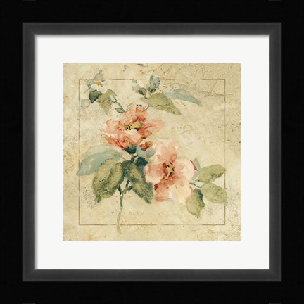 Framed Provence Rose I Print