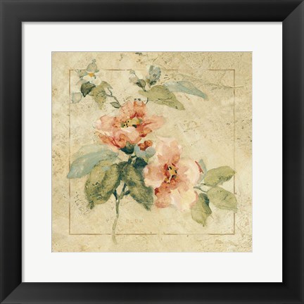 Framed Provence Rose I Print