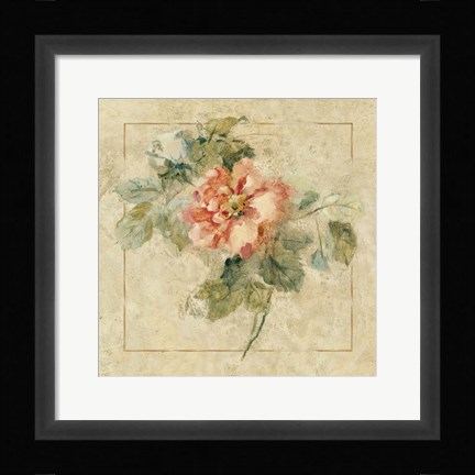 Framed Provence Rose II Print