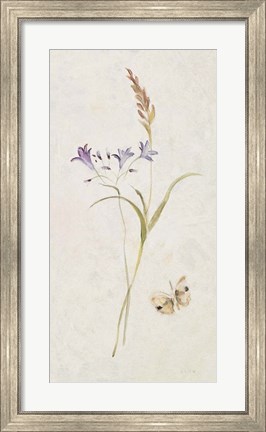 Framed Wild Wallflowers III Print