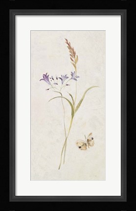 Framed Wild Wallflowers III Print