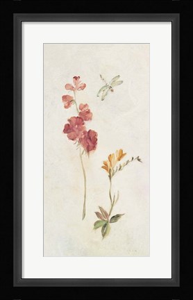 Framed Wild Wallflowers II Print