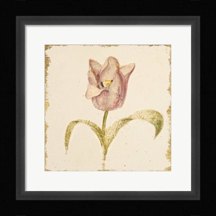 Framed Vintage Blue Parrot Tulip Crop Print