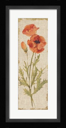Framed Poppy Panel on White Vintage Print
