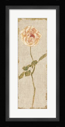 Framed Pale Rose Panel on White Vintage Print