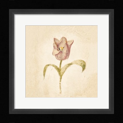 Framed Blue Parrot Tulip on White Crop Print