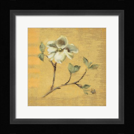 Framed Dogwood Blossom on Gold Print