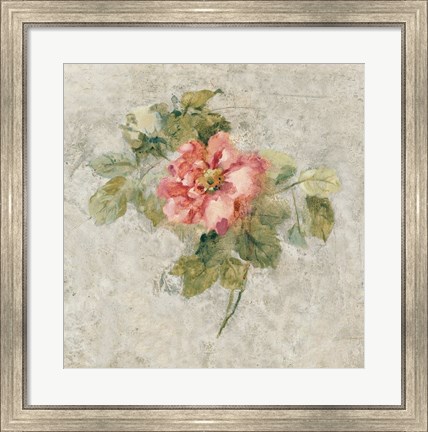 Framed Provence Rose II Red and Neutral Print