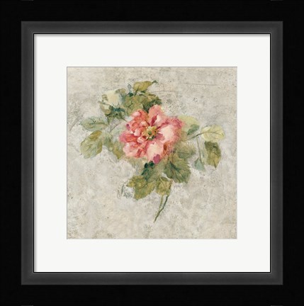 Framed Provence Rose II Red and Neutral Print