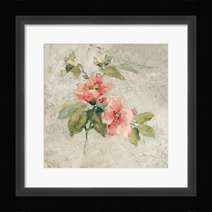 Framed Provence Rose I Red and Neutral Print