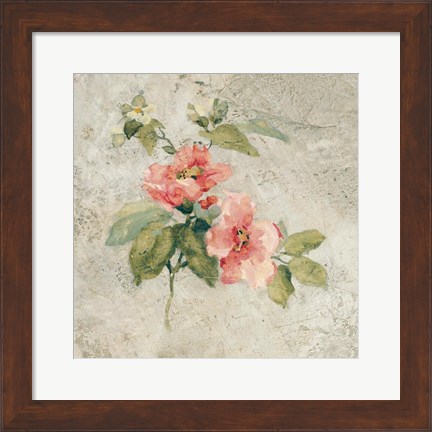 Framed Provence Rose I Red and Neutral Print