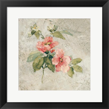 Framed Provence Rose I Red and Neutral Print