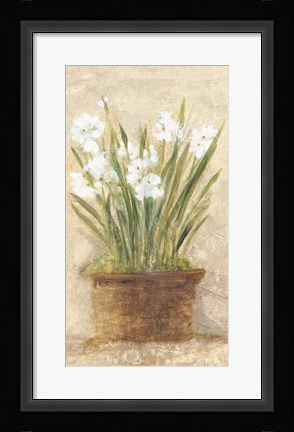 Framed Garden White Narcissus Panel Print