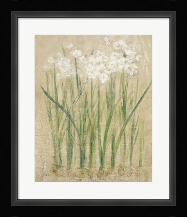 Framed Narcissus Cool Print