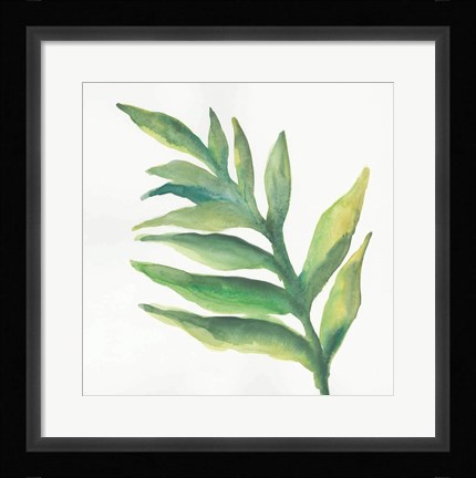 Framed Tropical Palm I Print