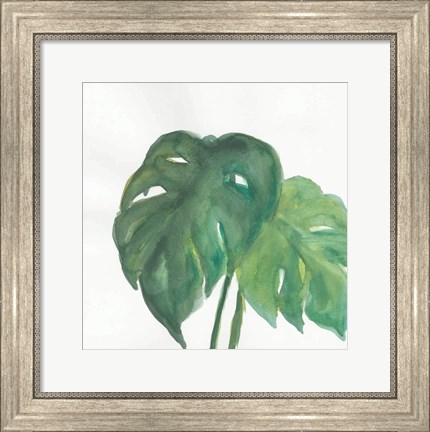 Framed Tropical Palm II Print