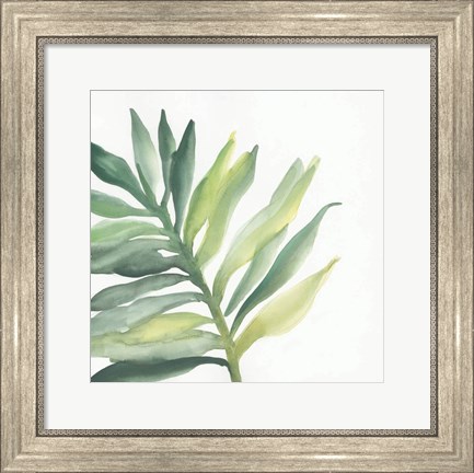 Framed Tropical Palm III Print