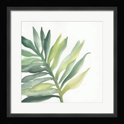 Framed Tropical Palm III Print
