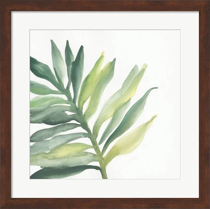 Framed Tropical Palm III Print