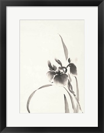 Framed Japanese Iris I Print