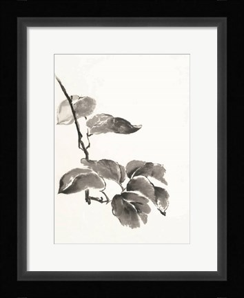 Framed Sumi Kiwi Print