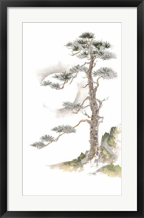 Framed Moon Pine on White Print