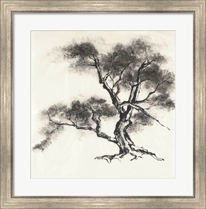 Framed Sumi Tree II Print
