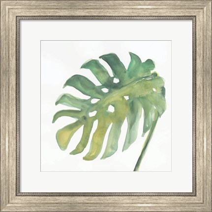 Framed Tropical Palm IV Print