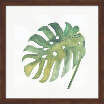 Framed Tropical Palm IV Print