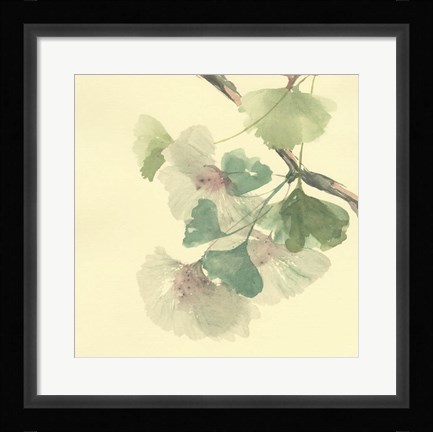 Framed Gingko Leaves II Print