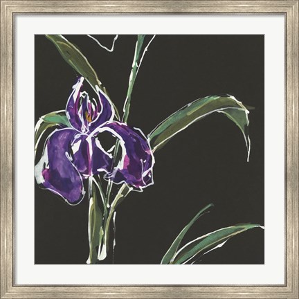Framed Iris on Black II Print
