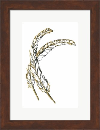 Framed Gilded Hackles Feather Print