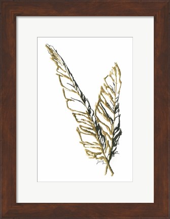 Framed Gilded Raven Feather Print