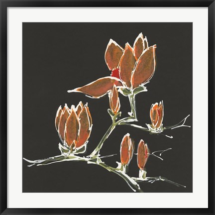 Framed Magnolia on Black IV Print