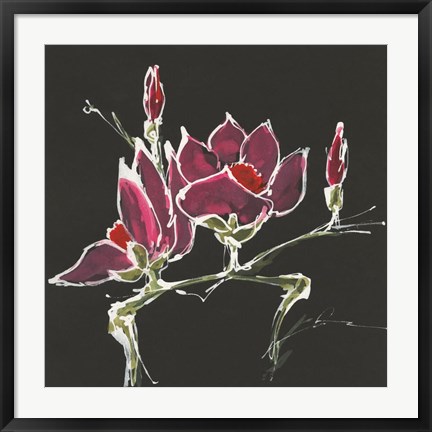 Framed Magnolia on Black III Print